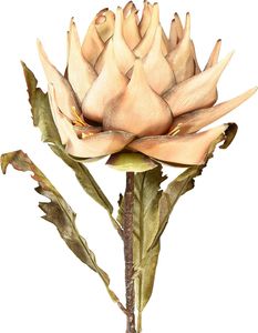 Sztuczna roślina Artichoke Cream Dry Look Ø15cm 73cm - Dekoracja do salonu i na imprezy