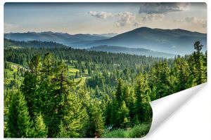 Muralo Vlies Fototapete WALD Bäume Berge Natur Landschaft 3D 416 cm x 254 cm
