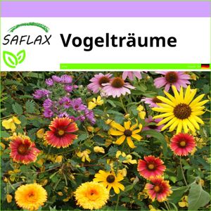 SAFLAX - Wildblumen: Vogelträume - 1000 Samen - 20 Sorten