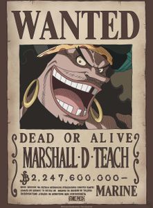 Poster One Piece Wanted Blackbeard 38x52cm