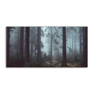 Coloray 100x50 cm Skleněný obraz Expozice Umění Sklo Zamlžená tmavá les