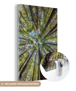 MuchoWow® Glasbilder - Bilder auf Wandbild - Foto auf Glas Der Mammutbaumwald bei Whakarewarewa in Neuseeland 80x120 cm Wanddekoration aus Glas - Acrylglasbild - Acrylbilder - Die Schlafzimmer