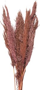 Clayre &amp; Eef 5DF0024 Suszone kwiaty bambusa 100 cm (10) różowy
