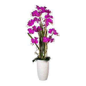 Künstliche Orchidee mit Unterbepflanzung160cm in weißem Kramiktopf in versch. Farben