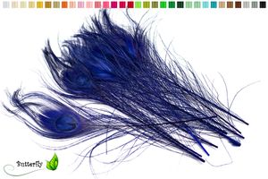 10 echte Pfauenfedern ca. 25-30cm, Farbauswahl:blau 352 / königsblau / royalblau