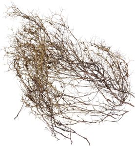 Gałązki dekoracyjne Iron Bush Natural, naturalne drewniane gałązki dekoracyjne do suchej florystyki i dekoracji stołu, 250g