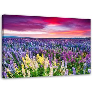 Feeby Leinwandbild auf Vlies Lavendel Felder Natur 90x60 Wandbild Bilder Bild