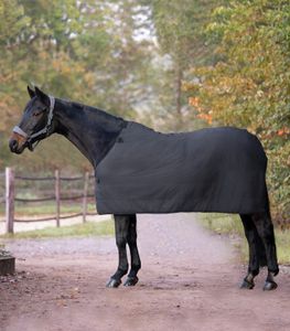 WALDHAUSEN Fleece Unterdecke ECONOMIC Farbe - schwarz Größe - 155 cm