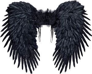 Schwarze Federflügel 80x65cm Schwarze Federflügel 80x65cm