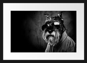 Lustiger Hund mit Hemd und Sonnenbrille, MonochromeBilderrahmen mit Galerie-Passepartout / Format: 55x40cm / gerahmt / hochwertige Leinwandbild Alternative