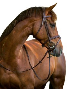 Kerbl Trensenzaum Classic Leder Braun Pony 324911