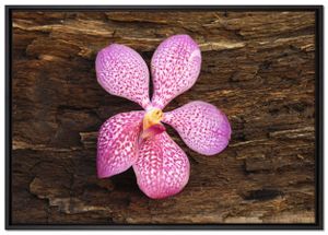Orchidee Blüte auf Rinde Leinwandbild 100x70 cm im Bilderahmen / Wandbild  / Schattenfugenrahmen / Kein Poster