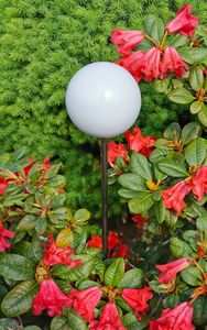 Rosenkugel 10 cm Edelstahl weiß poliert  mit Stab 80 cm Beetstecker Gartenstecker