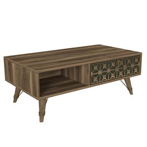 Couchtisch Valente mit gemusterter Tür in Holz Optik, Walnussbraun und Dunkelgrün, 5958
