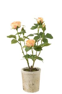 J-Line - Umelé ruže v kvetináči 'Rose' (žltá)