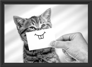 Lustige Katze mit Lächeln auf Papier, Monochrome im Schattenfugen Bilderrahmen / Format: 55x40 im Schattenfugen-Bilderrahmen / Kunstdruck auf hochwertigem Galeriekarton / hochwertige Leinwandbild Alternative