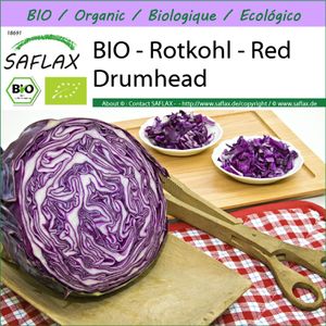 SAFLAX -- Rotkohl - Red Drumhead - 250 Samen - Brassica oleracea