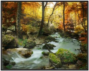 Wallario Wandbild Wasserfall mit moosbedeckten Steinen im Herbstwald, Größe: 40,30 x 50,30 cm, Poster mit schwarzem Aluminiumrahmen