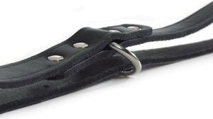 Beeztees Trainingsleine Leder Schwarz 200x1,8 cm 736392