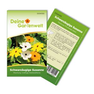 Schwarzäugige Susanne Mischung Samen - Thunbergia alata - Kletterpflanzensamen - Blumensamen - Saatgut für 10 Pflanzen