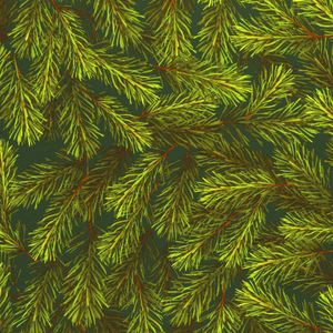 Geschenkpapier Tannenzweige Muster 70cm x 2m Rolle dunkelgrün / grün