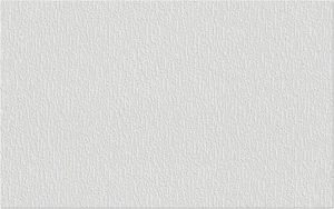 Erfurt Vliesfaser 1004310 Protect 202 10,05x0,53 m Erfurt Vliesfaser 1004310 Protect 202 10,05x0,53 m