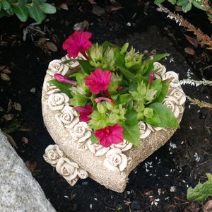 Grabschmuck Pflanzschale in Herzform mit Rosen verziert