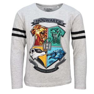 Harry Potter Hogwarts Gryffindor Jungen langarm T-Shirt Shirt – Grau / 164