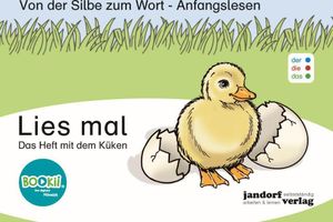 Lies mal - Das Heft mit dem Küken (DaZ): Von der Silbe zum Wort