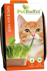 Baza Seeds Pet Buffet Gras Rich & Tasty für Katzen