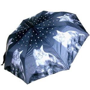 Kögler Taschenschirm Regenschirm Katzen Cat Kitten & Kristalle Schirm NEU