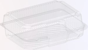 50 Stk Kuchenbehälter Kuchenbox Plastik Einweg 206x156x70mm Tortenbehälter