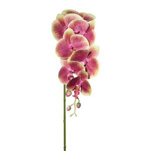 Umìlá orchidej 3D stvol, 87 cm