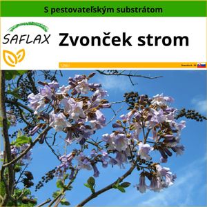 SAFLAX - zvonček strom - Paulownia tomentosa - 200 Semená - S pestovateľským substrátom bez klíčkov