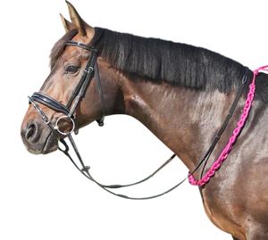 EQuest Beginner Balance Zügel, pink - 140 cm - hilft dem Pferd, das Gleichgewicht zu verbessern