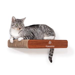 Pfotenolymp ® Wandkratzbrett / Kratzbrett / Kratzmatte Katze – Wandliege Mit Wandbefestigung - 44Cm X 29Cm