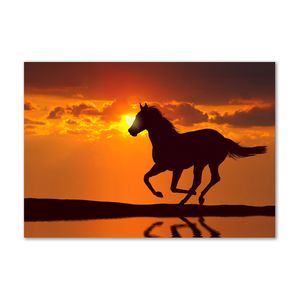 Tulup® Leinwandbild - 100x70 cm - Wandkunst - Drucke auf Leinwand - Leinwanddruck  - Tiere - Orange - Pferd