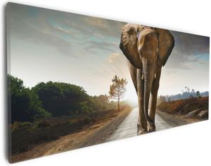 Wallario Premium Leinwandbild Elefant bei Sonnenaufgang in Afrika in Größe 30 x 75 cm