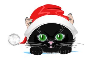 Fensterbild Weihnachten - Katze mit Weihnachtsmütze