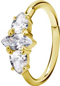 Karisma Edelstahl Gold Hinged Segmentring Charnier/Conch Clicker Ring Piercing Ohrring Zirkonia Stärke 1,2mm Durchmesser 12mm - Bg-bhcrz-22