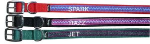 Hundehalsband Electra Pizazz  aus starkem Nylongurt 2,5 cm breit Halsband für Hunde  Halsband Hund