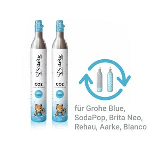 CO2-Zylinder Tausch-Box für Grohe Blue, Aarke, BritaNEO, SodaPop, 2 x 425g (60 l)
