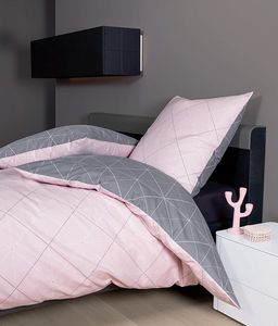 Davos Janine Biber Bettwäsche 2tlg grau rosa 65101-01| Bettwäsche-Set aus 100% Baumwolle | 2 teilige Wende-Bettwäsche 155x220cm & Kissen 80x80 cm | Geometrisches Muster