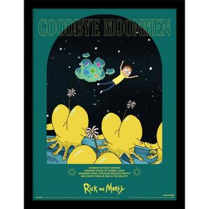 Rick And Morty - bedruckt "Classrickal Goodbye Moonmen" PM8187 (40 cm x 30 cm) (Bunt)