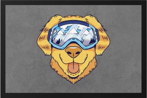Ski Hund Fussmatte Hund Skifahrer Skibrille Skifahrerin Wintersport Ski Skipiste Sport Bewegung Skifahren Skilift