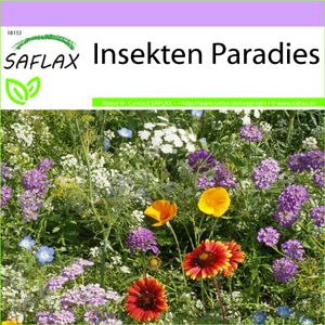 SAFLAX - Wildblumen: Insekten Paradies - 1000 Samen - 19 Wildflower Mix