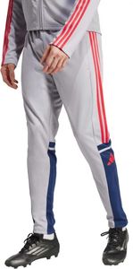Spodnie męskie adidas Squadra 25 Training szare JP3372 - L