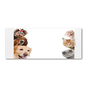 Tulup® Leinwandbild - 125x50 cm - Wandkunst - Drucke auf Leinwand - Leinwanddruck  - Tiere - Beige - Hunde und Katzen