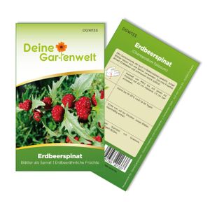 Erdbeerspinat  Samen - Chenopodium foliosum - Erdbeerspinatsamen - Gemüsesamen - Saatgut für 200 Pflanzen