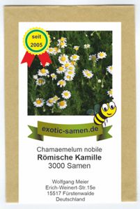Römische Kamille - Bienenweide - Chamaemelum nobile - 3000 Samen